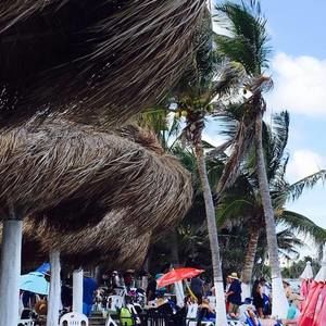 Meet your Posher, Gabe